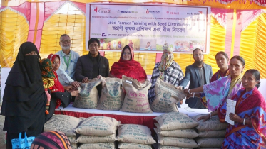 পীরগঞ্জে কৃষকদের মাঝে জিংক ধানের বীজ বিতরণ