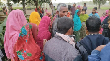 চা পাতা কাটতে গিয়ে শ্রমিকের মৃত্যু