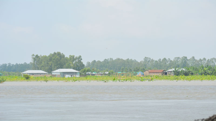 টাঙ্গাইলে বন্যায় তলিয়ে গেছে জমির ফসল, দিশেহারা কৃষক