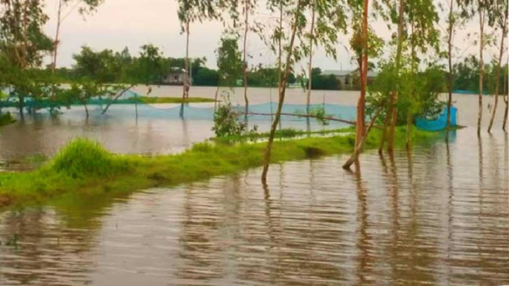 দোয়ারাবাজারে বন্যায় কৃষিতে কোটি টাকার ক্ষতি 