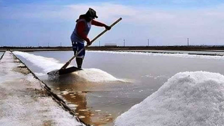 উপকূলে লবণ উৎপাদন শুরু, চাষিরা দাম নিয়ে হতাশ