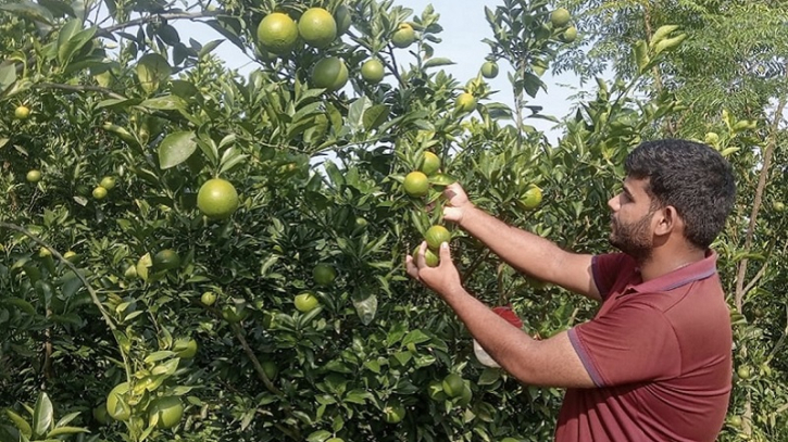 সফল কৃষি উদ্যোক্তা বিশ্ববিদ্যালয়ের শিক্ষার্থী ফাহিম 