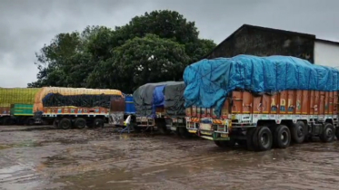 আড়াই মাস পর হিলি দিয়ে এলো আলু