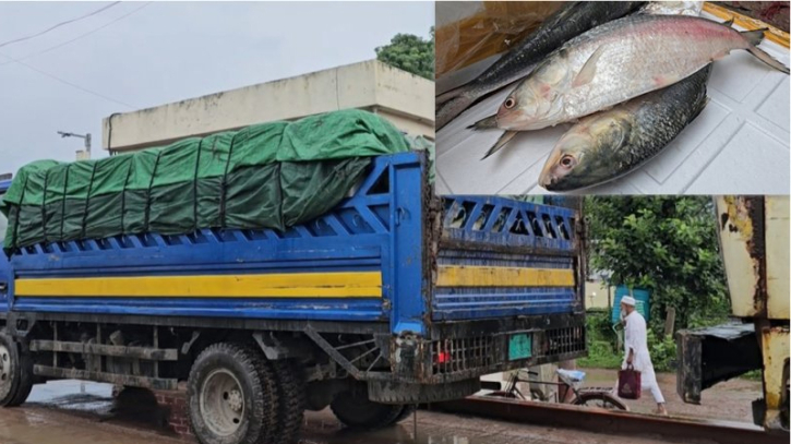 বেনাপোল দিয়ে ভারতে গেলো ৯৯ মে. টন ইলিশ 