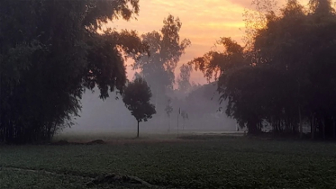 পঞ্চগড়ে হিম বাতাসে কমছে না শীতের প্রকোপ